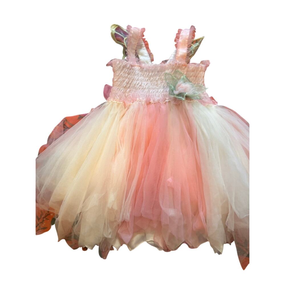 Butterfly Fairy Dress 2T